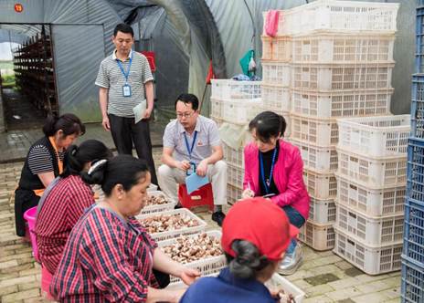 说明: 图为纪检干部深入厦坪镇厦坪村食用菌产业基地核查产业帮扶资金落实情况 说明: 图为纪检干部深入厦坪镇厦坪村食用菌产业基地核查产业帮扶资金落实情况
