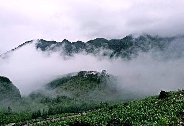 02雨后的堡垒（峨边县纪委投稿，张伟摄）.jpg