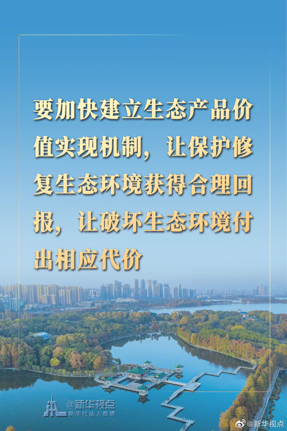 1605510444187869.jpg