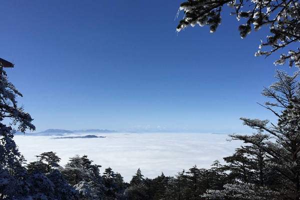 07望（乐山市政务服务中心投稿，孙桂林摄）.jpg